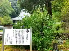 清瀧寺の建物その他