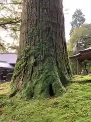 比叡山延暦寺(滋賀県)