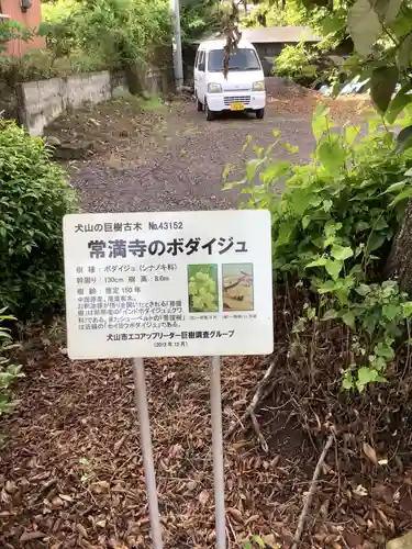 常満寺の庭園