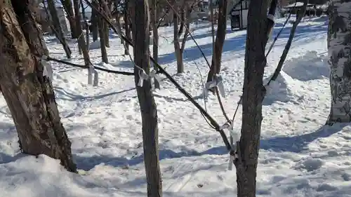 西御料地神社のおみくじ