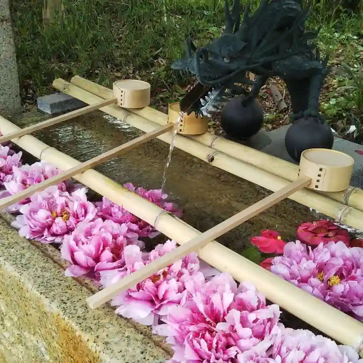 星宮神社の手水舎