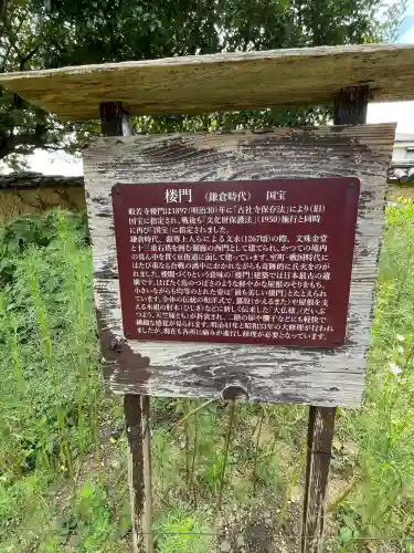 般若寺 ❁﻿コスモス寺❁(奈良県)