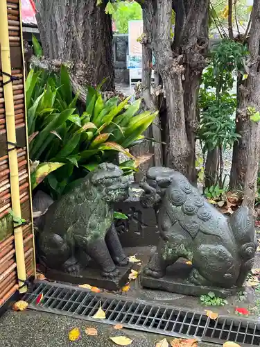 麻布氷川神社の狛犬