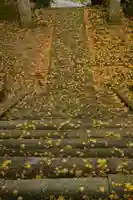 善福寺(山田薬師)(愛媛県)