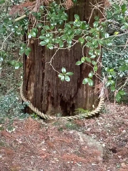 一之宮貫前神社(群馬県)