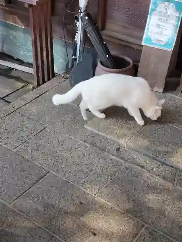 王子神社(徳島県)