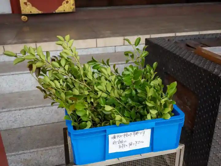 東京羽田 穴守稲荷神社(東京都)