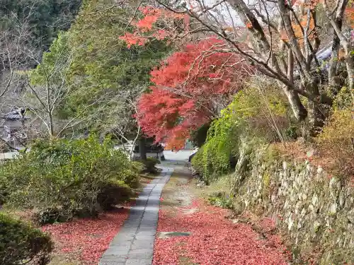 観心寺(大阪府)