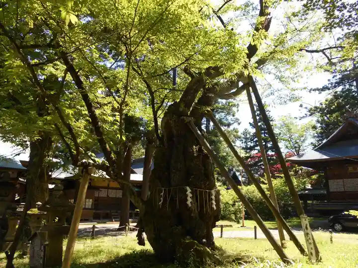 蠶養國神社(福島県)