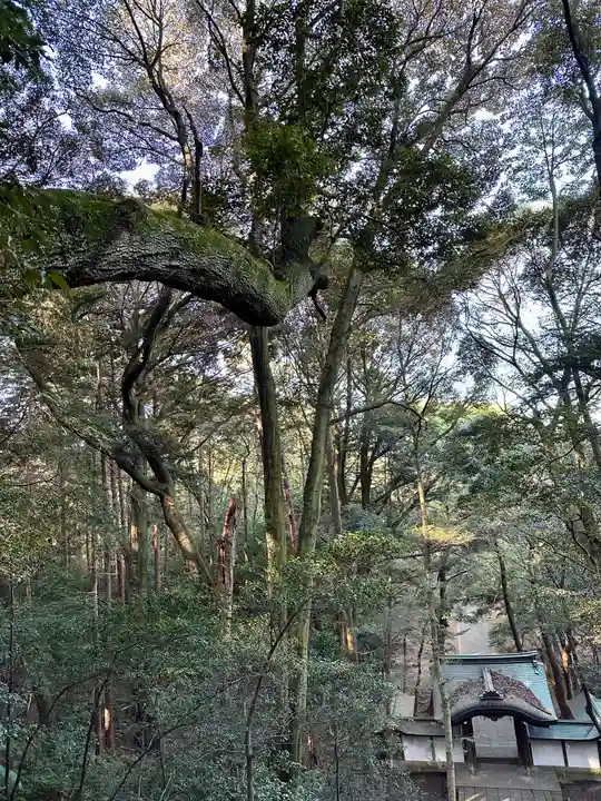 豊国廟(豊国神社飛地境内)(京都府)
