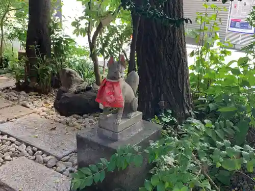 五十稲荷神社(栄寿稲荷神社)の狛犬