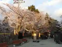 鶴ケ城稲荷神社の食事