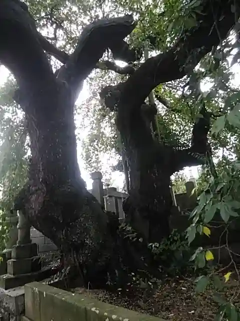 日輪寺(福島県)