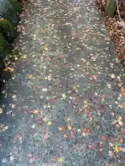 富士山東口本宮 冨士浅間神社の自然