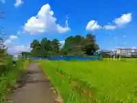 津島社の自然