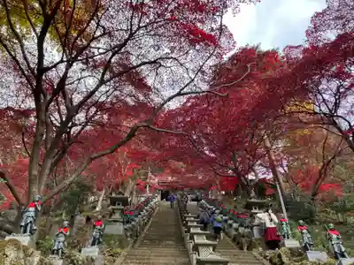 大山寺(神奈川県)