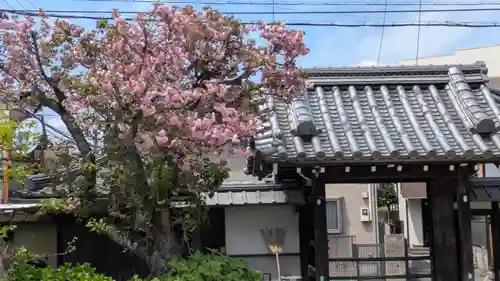 乘願院(京都府)