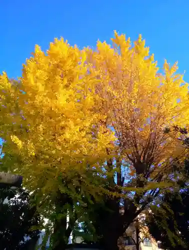 神明神社(神奈川県)