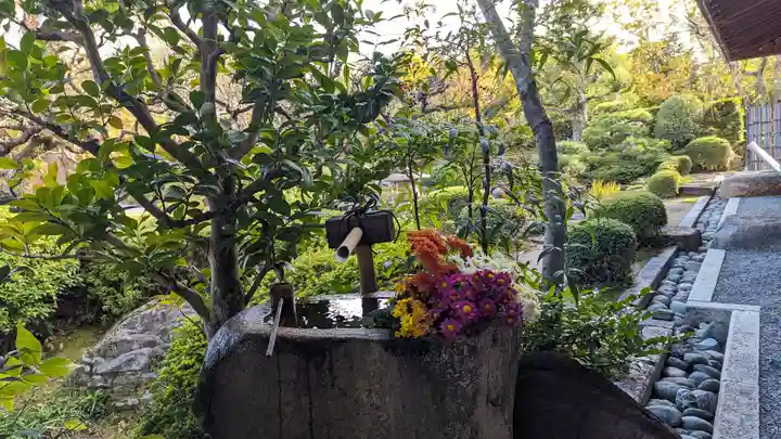 正法寺(京都府)