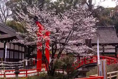 賀茂御祖神社（下鴨神社）(京都府)