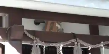 東武庫須佐男神社のその他建物