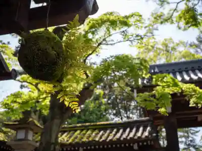 今宮神社の{uncategorized: "未分類", other: "その他", undefined: "問題あり", building: "その他建物", grave: "お墓", sacred_gate: "鳥居", guardian: "狛犬", statue: "像", buddha: "仏像", history: "歴史", nature: "自然", garden: "庭園", animal: "動物", pagoda: "塔", temizu: "手水舎", mountain_gate: "山門・神門", sanctuary: "本殿・本堂", subordinate: "末社・摂社", art: "芸術", scenery: "景色", jizo: "地蔵", ema: "絵馬", goshuin: "御朱印", omikuji: "おみくじ", items: "授与品その他", amulet: "お守り", goshuincho: "御朱印帳", eats: "食事", festival: "お祭り", votive_dance: "神楽", shichigosan: "七五三参", wedding: "結婚式", experience: "体験その他", initially: "初詣", around: "周辺", anti_infection: "感染症対策"}