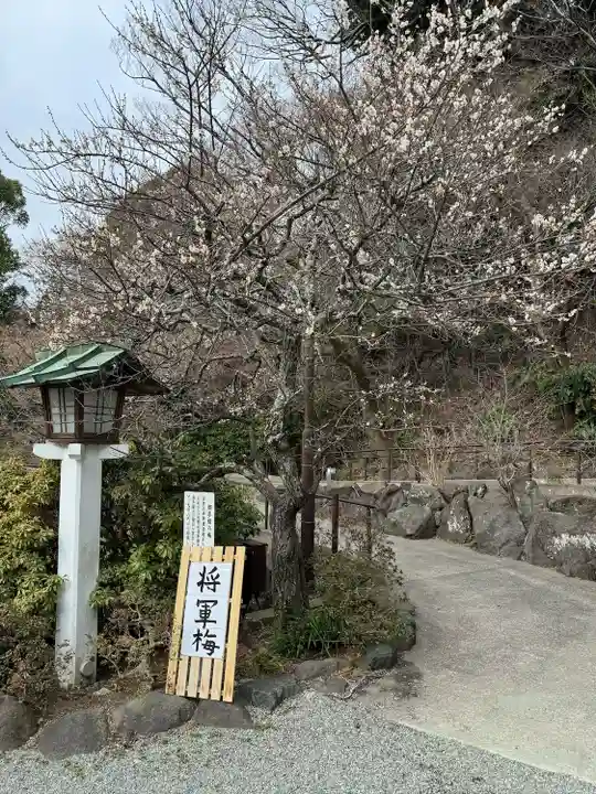 鎌倉宮(神奈川県)