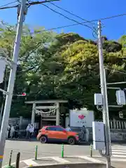 川越氷川神社(埼玉県)