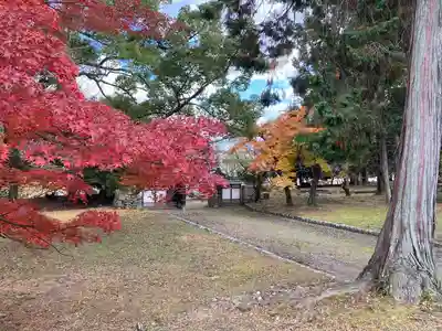 園城寺（三井寺）(滋賀県)