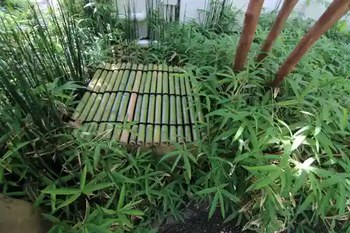 萬寿神社（柏屋本店願掛け萬寿石）(福島県)