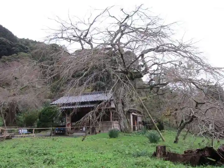 南明寺(山口県)