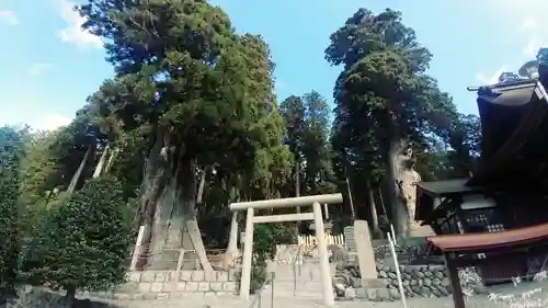 久津八幡宮(岐阜県)