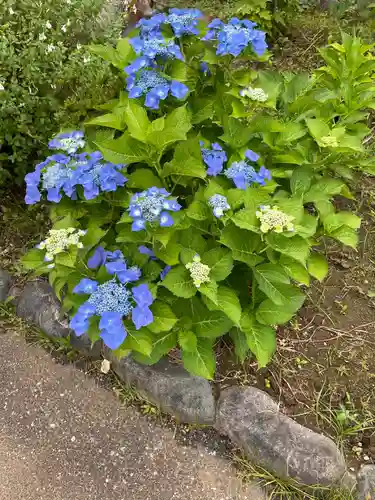 真常寺(千葉県)