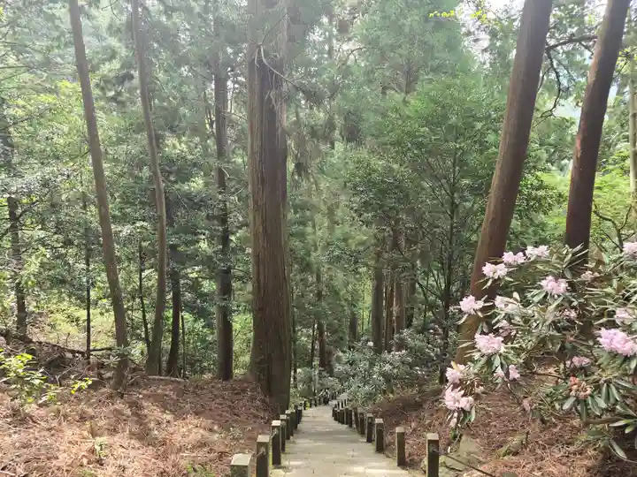 室生寺奥の院(奈良県)