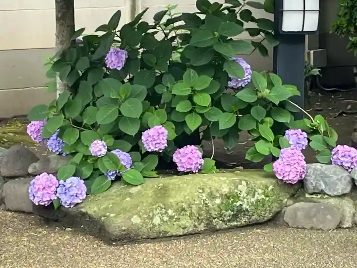 幸福寺(神奈川県)