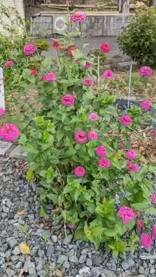 玉田神社(京都府)