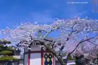 常在寺の自然