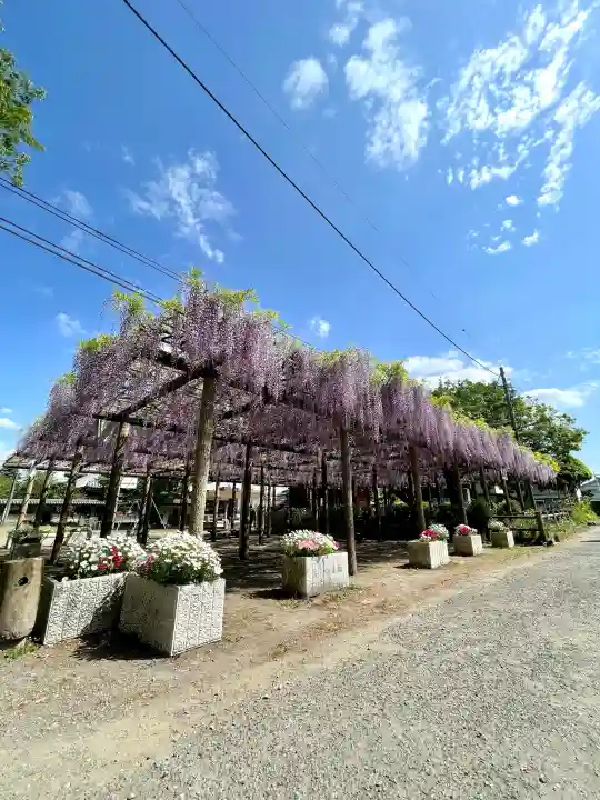 日吉神社の{uncategorized: "未分類", other: "その他", undefined: "問題あり", building: "その他建物", grave: "お墓", sacred_gate: "鳥居", guardian: "狛犬", statue: "像", buddha: "仏像", history: "歴史", nature: "自然", garden: "庭園", animal: "動物", pagoda: "塔", temizu: "手水舎", mountain_gate: "山門・神門", sanctuary: "本殿・本堂", subordinate: "末社・摂社", art: "芸術", scenery: "景色", jizo: "地蔵", ema: "絵馬", goshuin: "御朱印", omikuji: "おみくじ", items: "授与品その他", amulet: "お守り", goshuincho: "御朱印帳", eats: "食事", festival: "お祭り", votive_dance: "神楽", shichigosan: "七五三参", wedding: "結婚式", experience: "体験その他", initially: "初詣", around: "周辺", anti_infection: "感染症対策"}