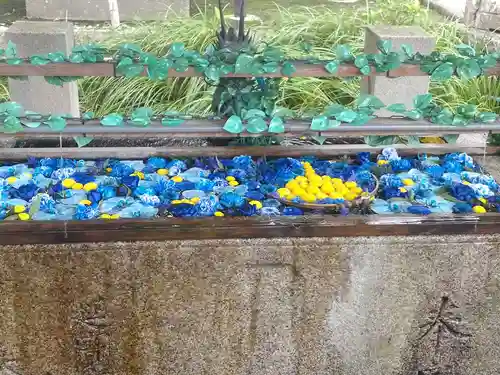 津島神社の手水舎