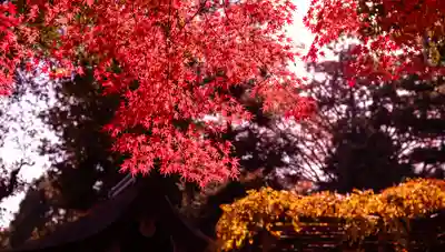賀茂別雷神社（上賀茂神社）(京都府)