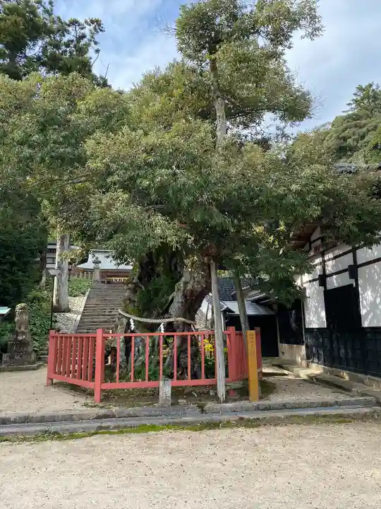 山王宮日吉神社(京都府)