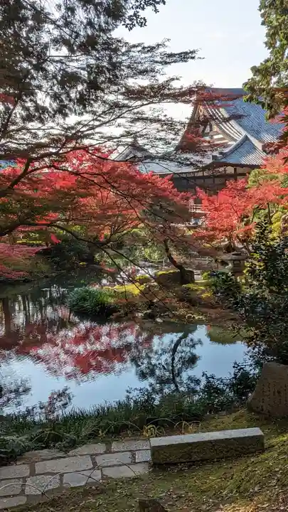 くろ谷 金戒光明寺(京都府)