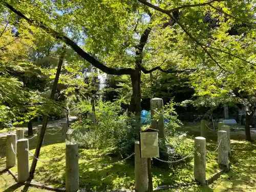 真正極楽寺（真如堂）(京都府)