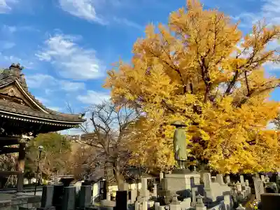 善福寺(東京都)