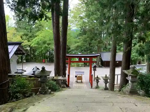 日枝神社の鳥居