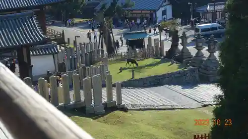 東大寺 二月堂(奈良県)