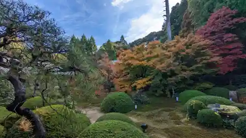 雲龍院(京都府)
