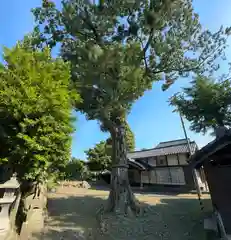 春日神社(福井県)