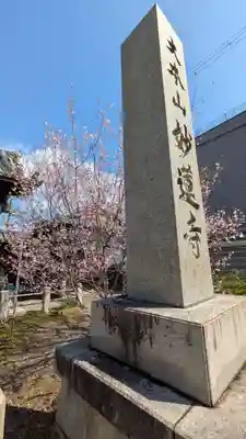 妙蓮寺(京都府)