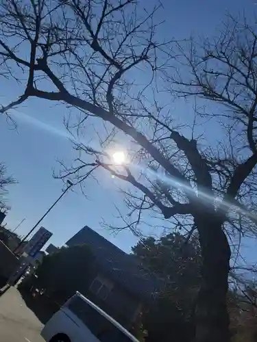 菅原神社(東京都)